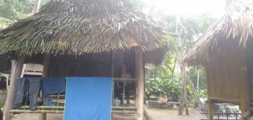 Puluong jungle king homestay Puluong jungle king homestay