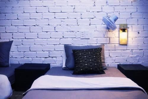 Bunk Bed in Mixed Dormitory Room