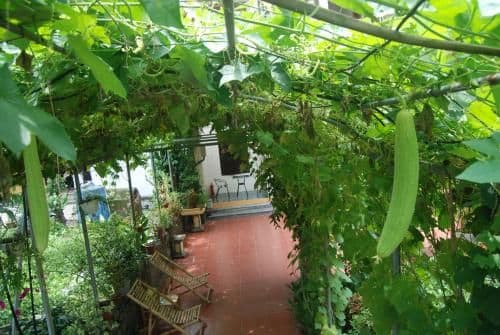 Double Room with Garden View