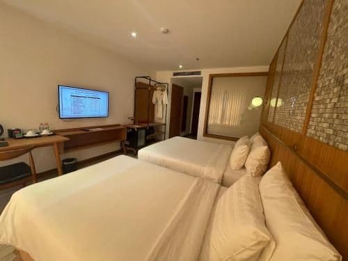 Superior Double or Twin Room with City View