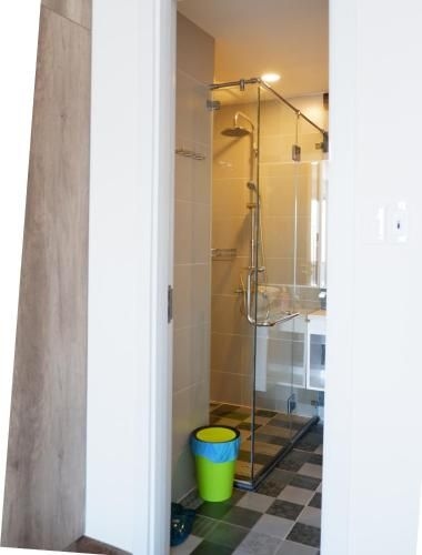 Da Nang Daisy Apartment1
