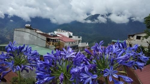 Nguyen Dang Guesthouse4