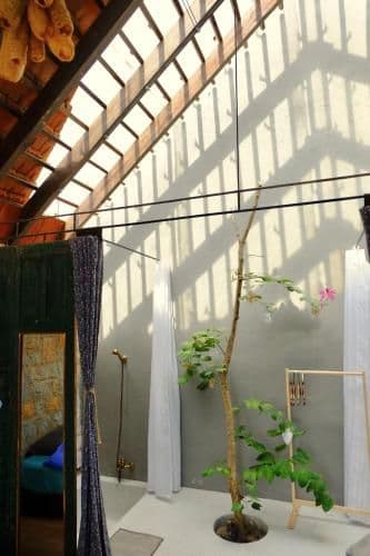 Studio with Garden View