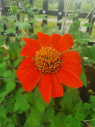 Phong Nha Amanda Homestay Phong Nha Amanda Homestay