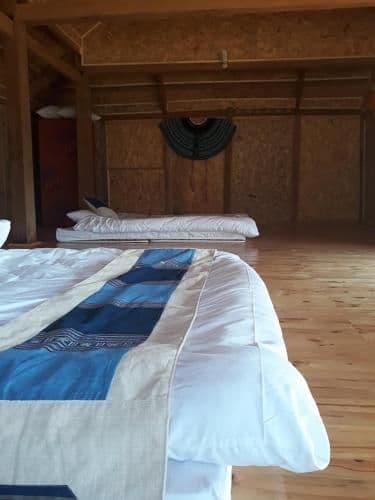 Single Bed in Mixed Dormitory Room