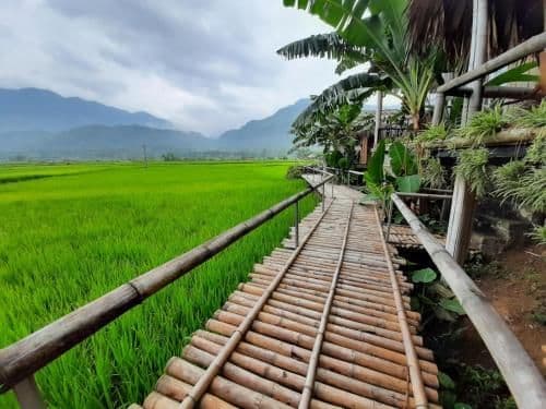 Double Room with Mountain View