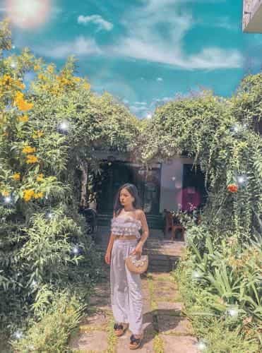 Coto Center Homestay Coto Center Homestay