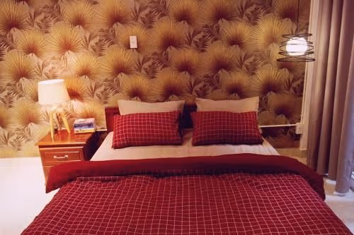 Deluxe Double or Twin Room with City View