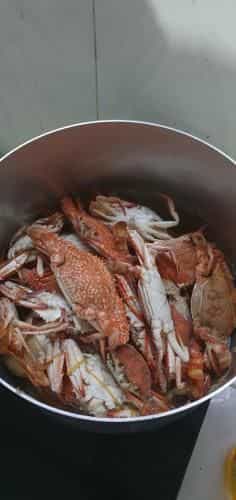 Nha nghi ngoc phuong Hon Son Gia re Nha nghi ngoc phuong Hon Son Gia re