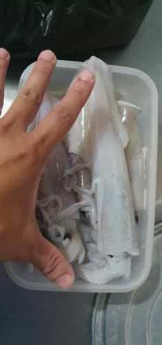 Nha nghi ngoc phuong Hon Son Gia re Nha nghi ngoc phuong Hon Son Gia re