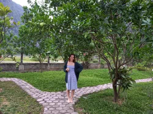 Yen Binh Homestay Yen Binh Homestay