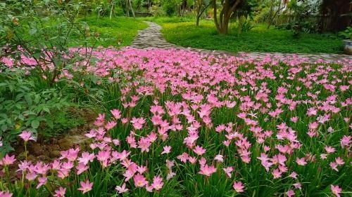 Yen Binh Homestay4