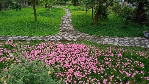 Yen Binh Homestay3