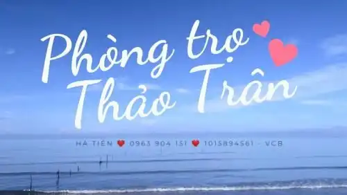 Thao Tran Thao Tran