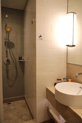 Premier Double or Twin Room with City View