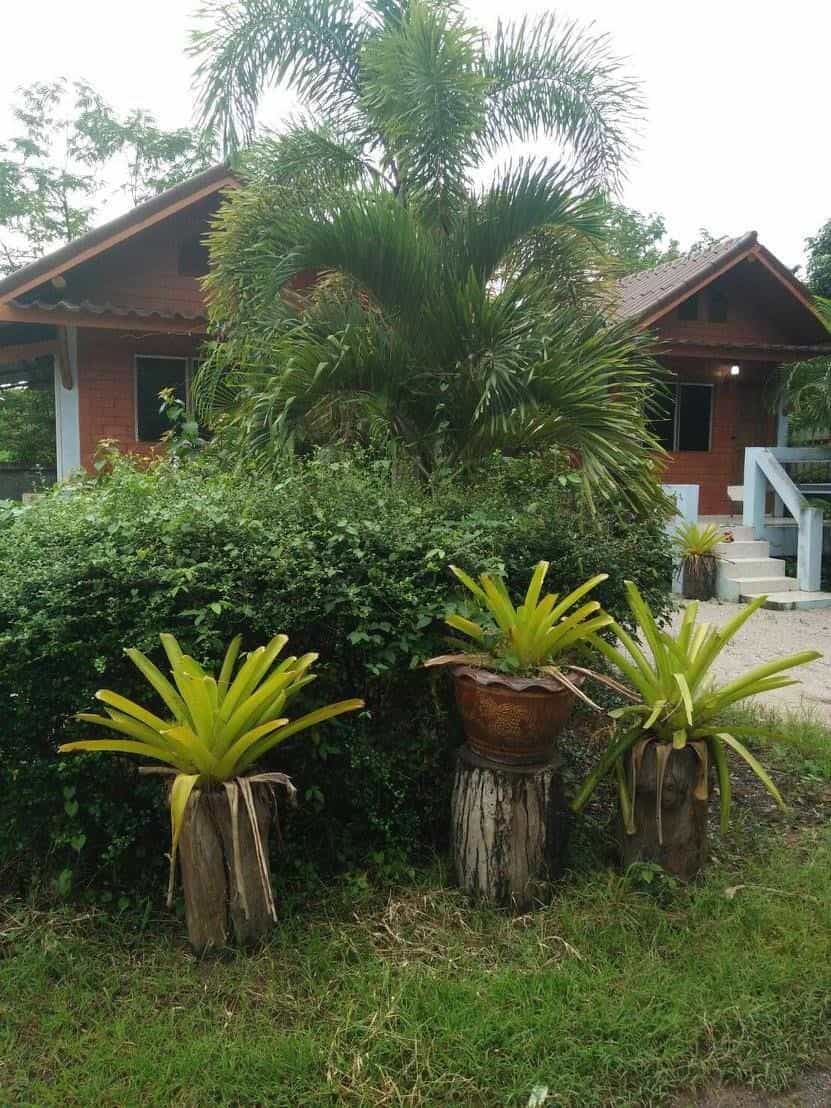 Nattharika Resort Pha Khao Nattharika Resort Pha Khao