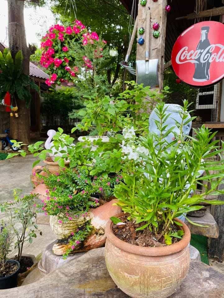 Nawat Resort Nawat Resort