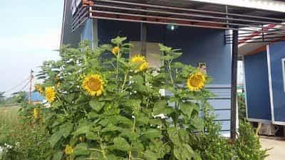 Fiw and Tiw Resort Huai Thalaeng Fiw and Tiw Resort Huai Thalaeng