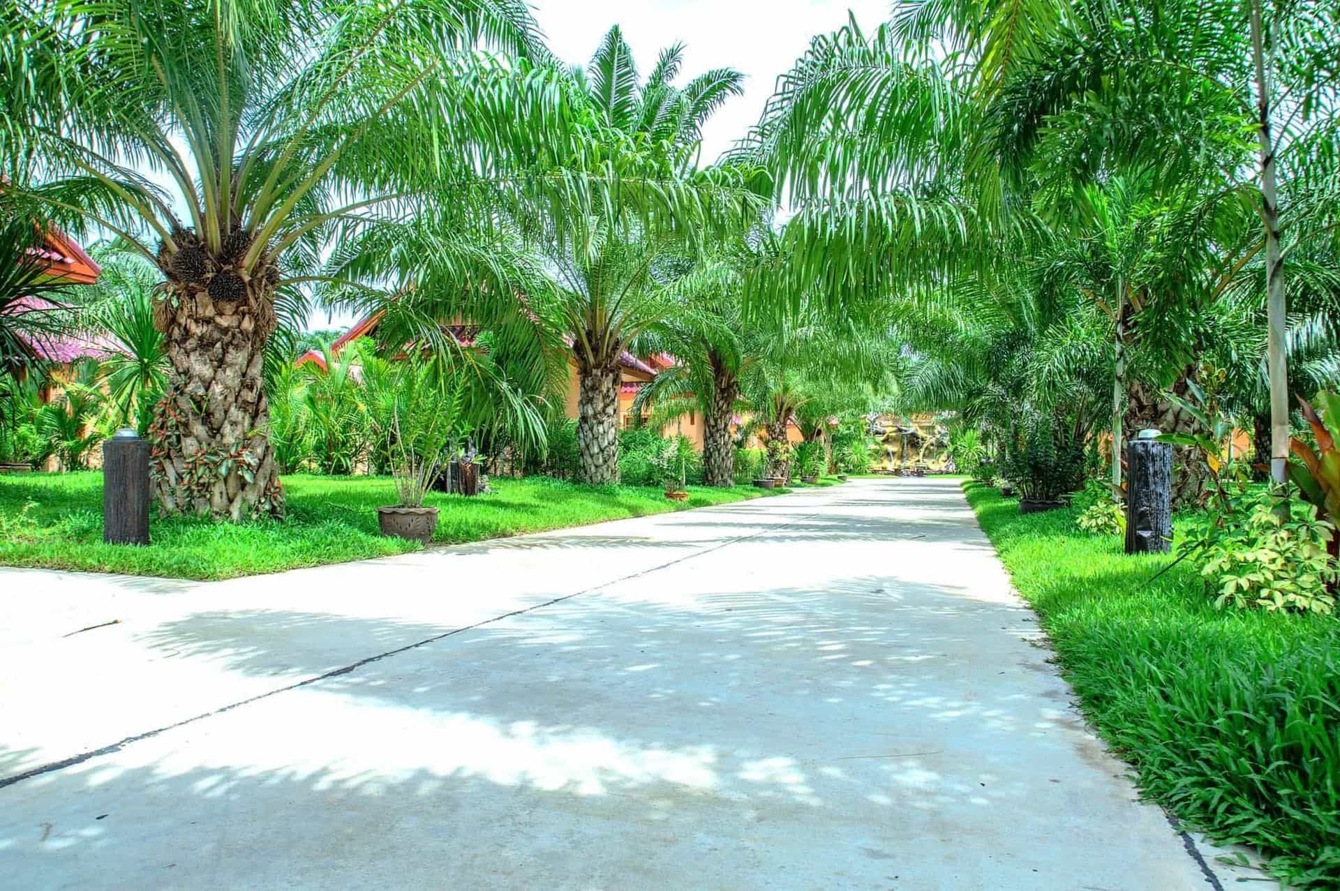 Jirada Resort Jirada Resort