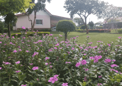 The Homestead Resort Pakchong The Homestead Resort Pakchong