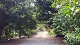 Rabiengdao Garden Homestay Rabiengdao Garden Homestay