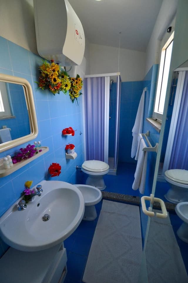 APARTMENT CAPACITY 4