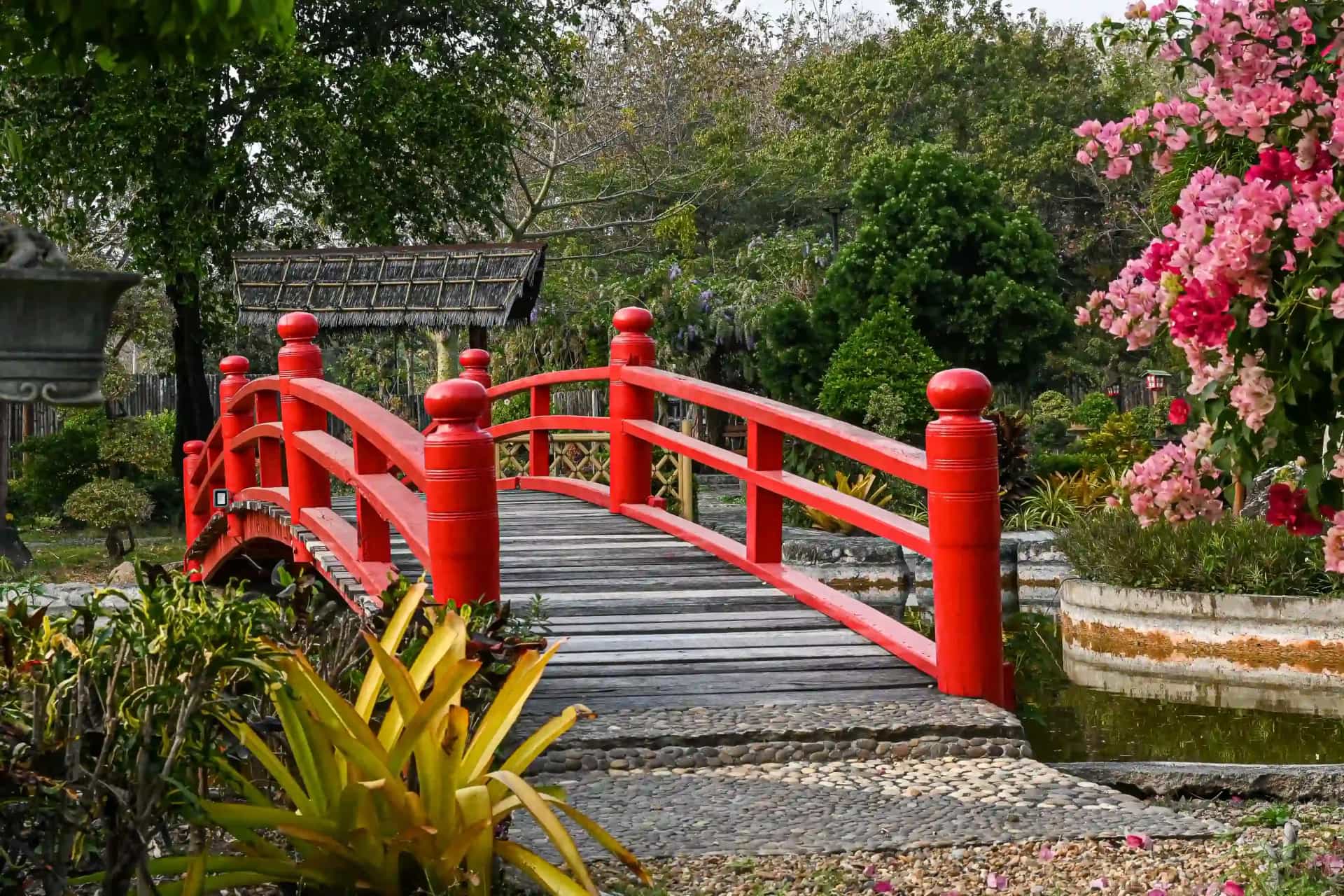 สวนผึ้ง บอนไซ วิลเลจ สวนผึ้ง บอนไซ วิลเลจ