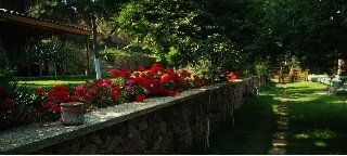 Aya Nikola Otel0