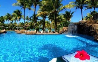 Palm Island3