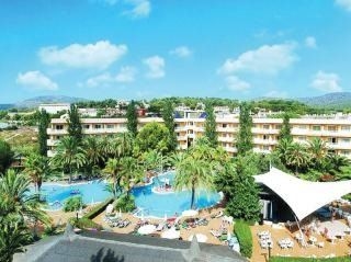 Viva Palma Nova3