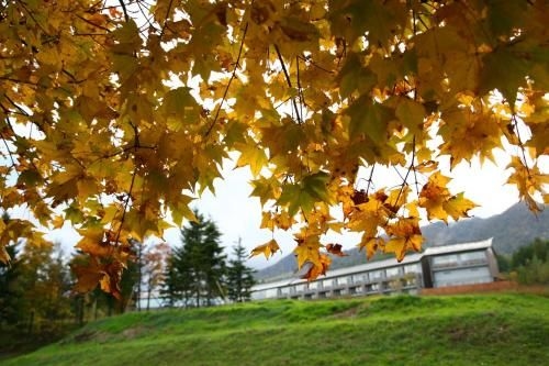 ฟูราโน โฮเต็ล (Furano Hotel)0
