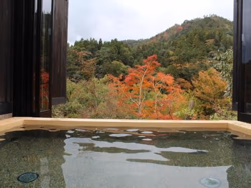 Japanese-Style Twin Room with Mountain View