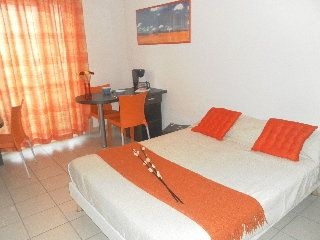 Park & Suites Confort Saint Etienne3