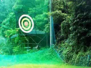 Dreaming Forest Pension Dreaming Forest Pension