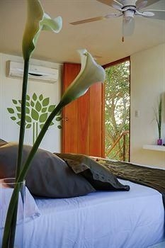 La Casa del Arbol Hotel Boutique1