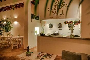 La Casa del Arbol Hotel Boutique4