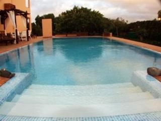 El Patio De Lajares0