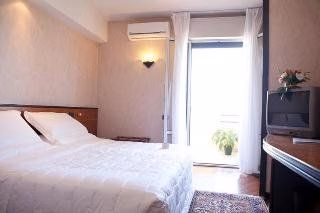 BEST WESTERN David Palace Hotel0