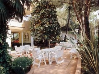 Hotel Brown0