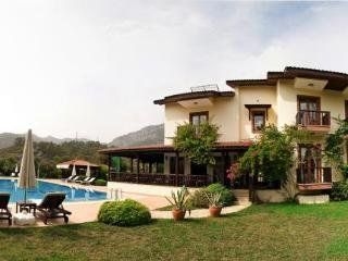 Efe Hotel Gocek1
