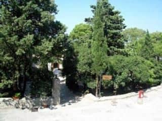 La Pineta La Pineta