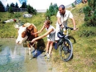 Familien Und Sporthotel Hohlenstein Familien Und Sporthotel Hohlenstein