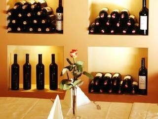 Vienna Sporthotel1