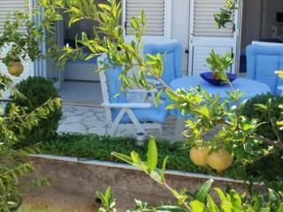 Villa Amica2