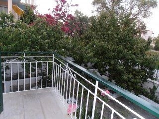 Elenas Garden4