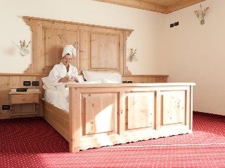 Alba Alpine Hotel1
