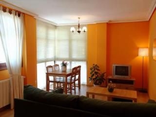 Apartamentos Rurales Altuzarra1