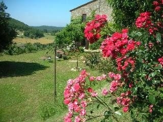 Podere Costa Romana4