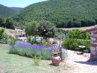 Podere Costa Romana3