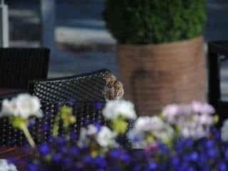 Strandhotel Binz Strandhotel Binz